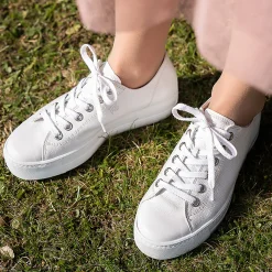 Pauls 4790-010