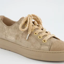 Pauls 4977-268