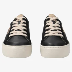 Pauls 5330-036
