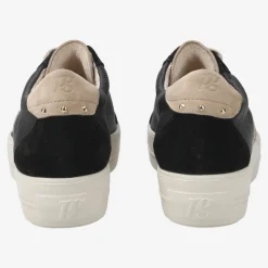 Pauls 5330-036