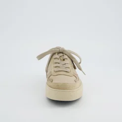 Pauls 5480-008