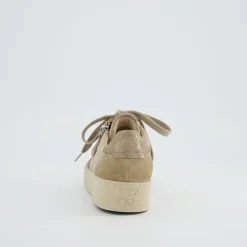 Pauls 5480-008