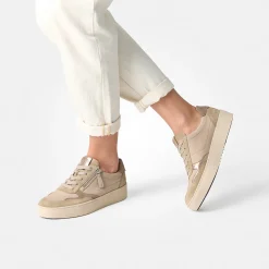 Pauls 5480-008