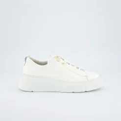 Pauls 5418-037