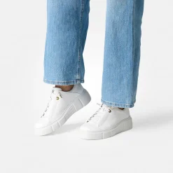 Pauls 5418-037