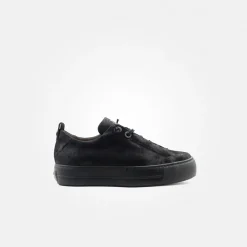 Pauls 5417-076