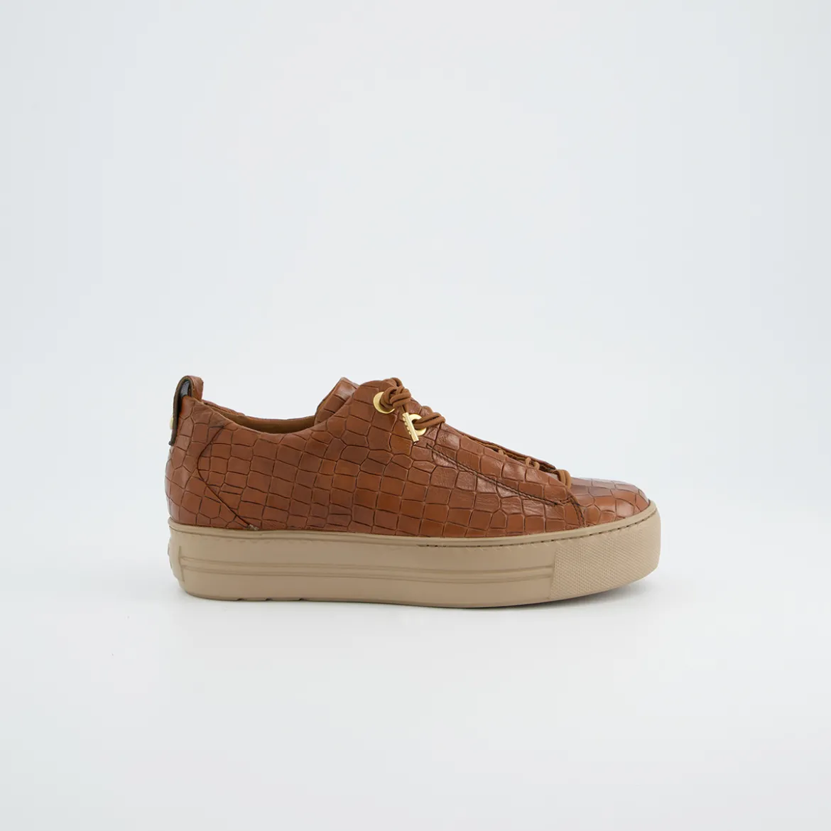 Pauls 5317-068