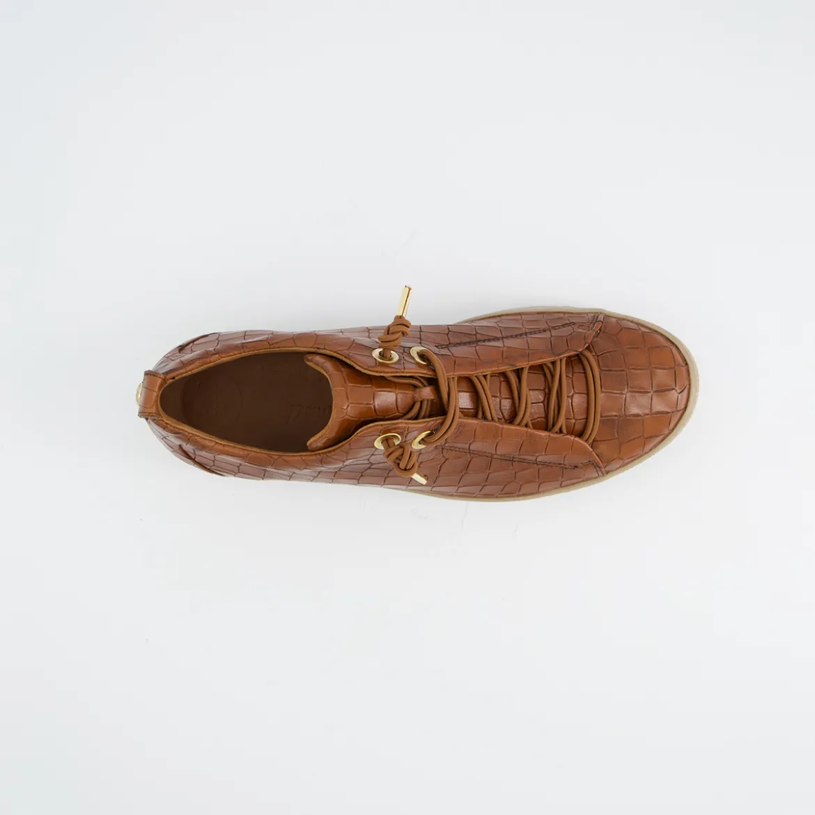 Pauls 5317-068
