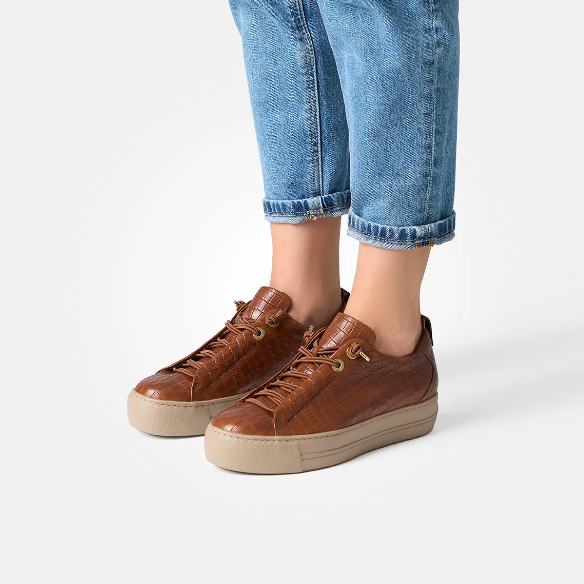 Pauls 5317-068