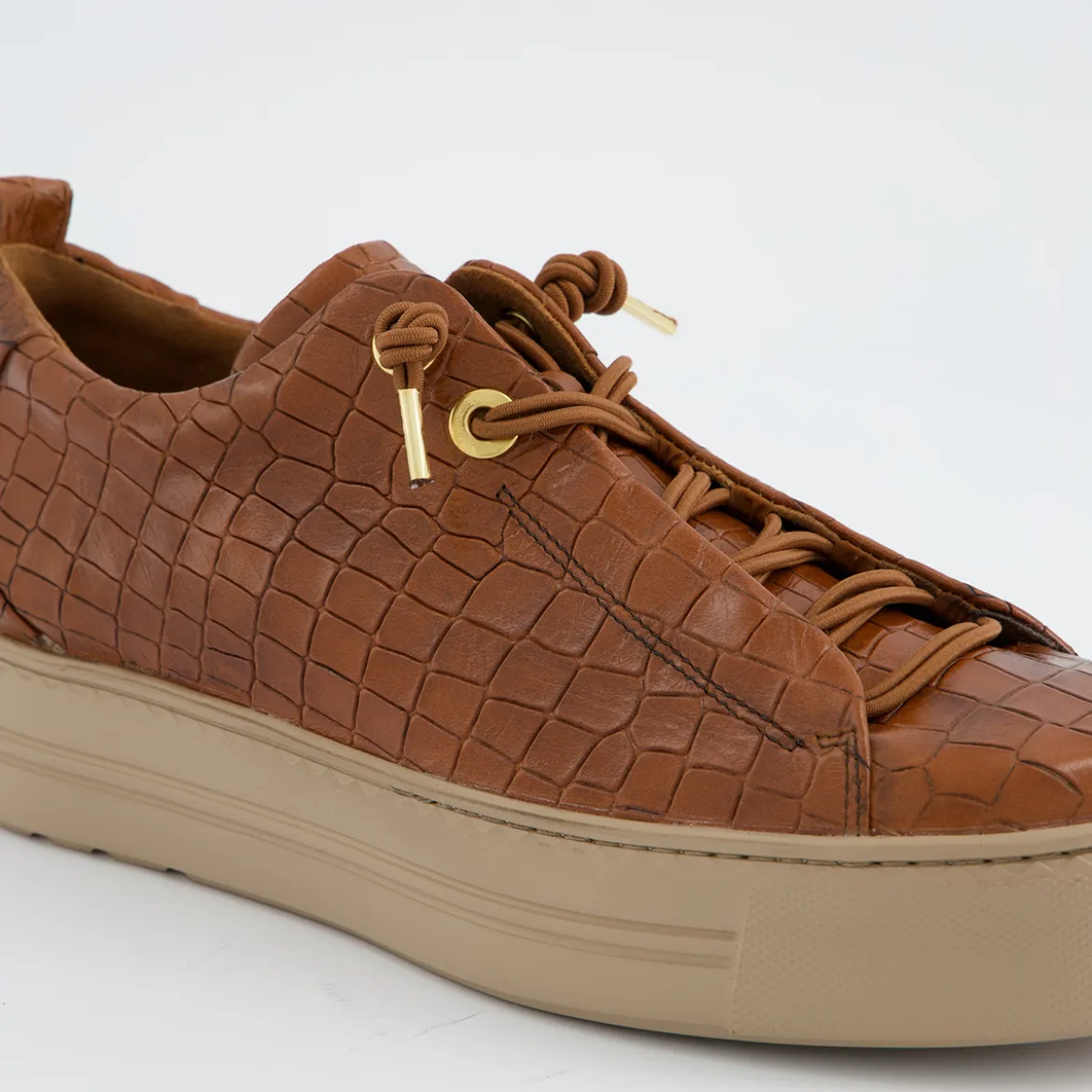 Pauls 5317-068
