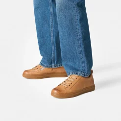 Pauls 5416-067