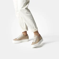 SUPER SOFT Pauls 4790-241