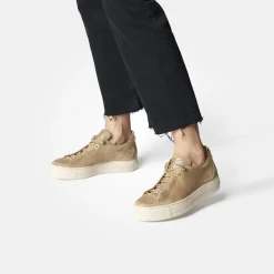 SUPER SOFT Pauls 5017-162